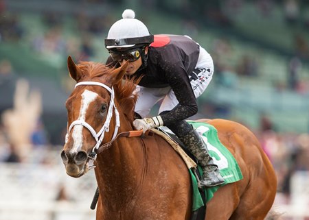 The Chosen Vron wins the 2023 Thor's Echo Stakes at Santa Anita Park