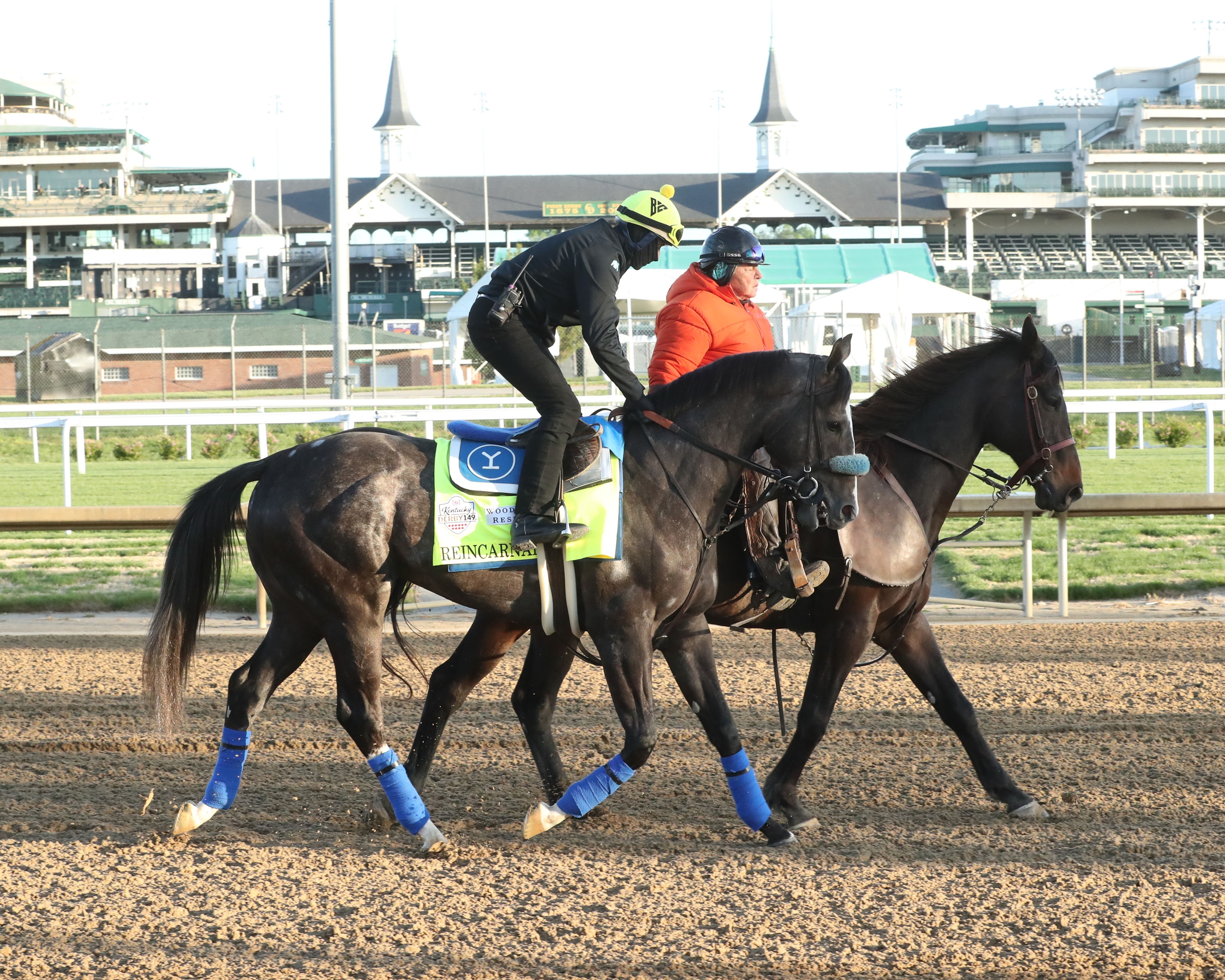 Reincarnate - Horse Profile - BloodHorse