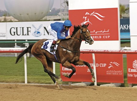 Discreet Cat wins the 2006 U.A.E. Derby at Nad Al Sheba Racecourse