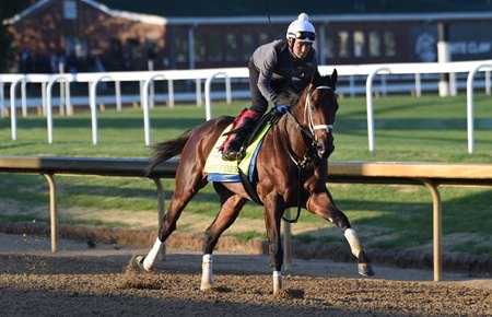 Angel of Empire trains ahead of the 2023 Kentucky Derby at Churchill Downs