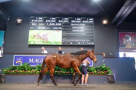 Yulong’s Millions at National Broodmare Sale