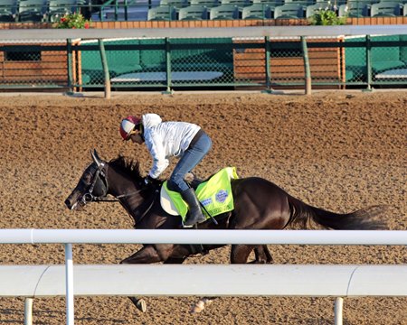 Mandarin Hero trains ahead of the Kentucky Derby at Churchill Downs