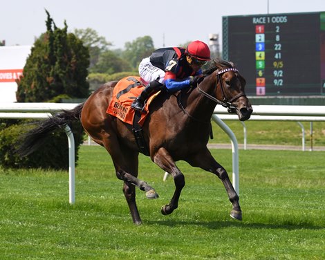 Omaha Beach's First Winner Takes Debut at Belmont Park - BloodHorse