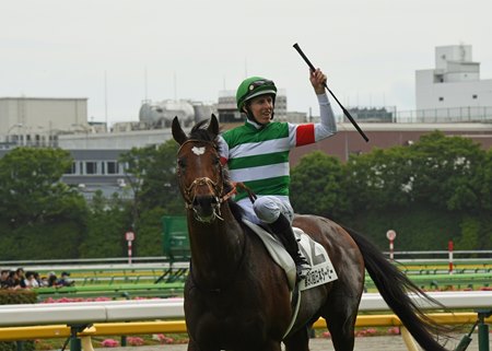 Tastiera won the 2023 Japanese Derby after taking the Yayoi Sho