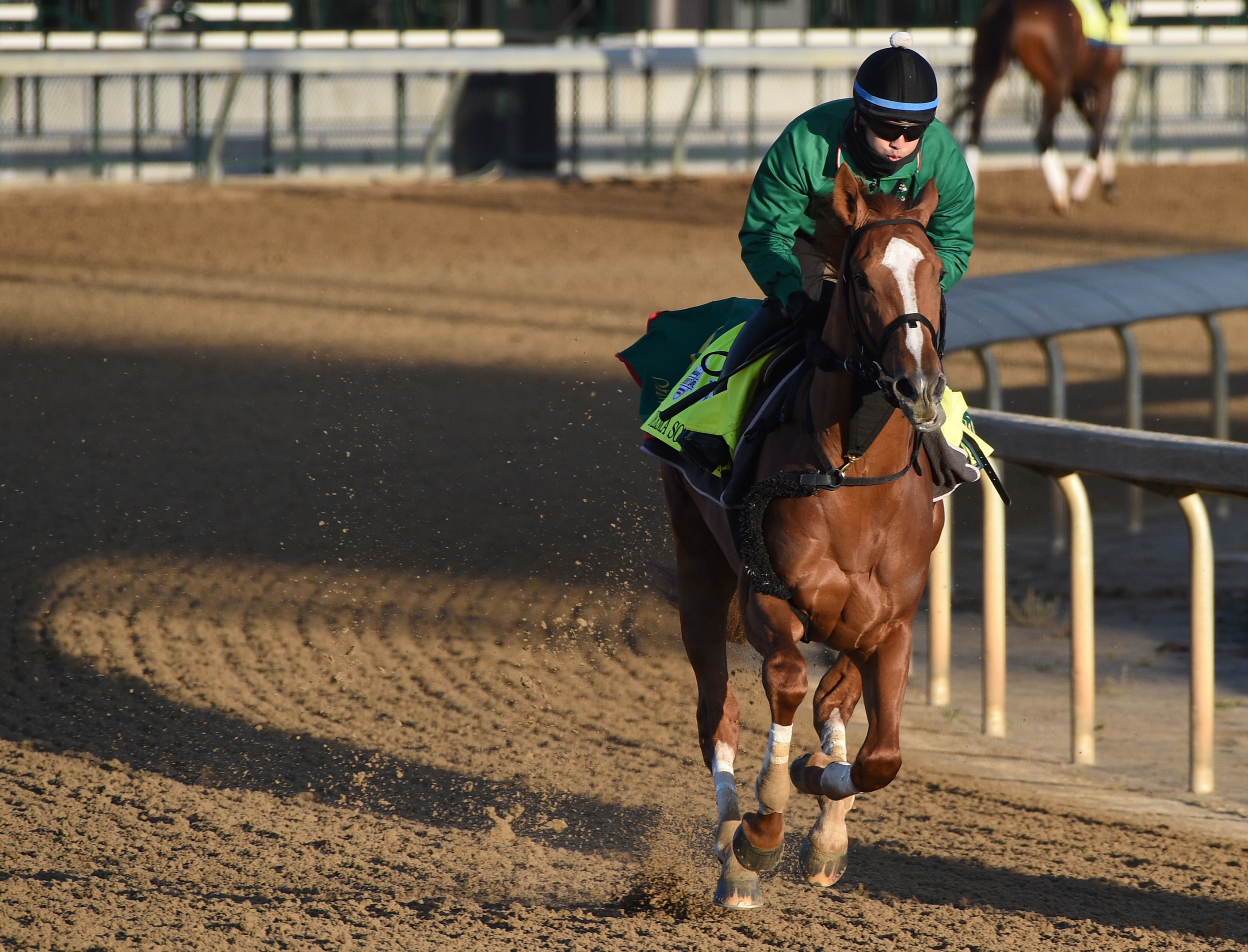 Japan - Horse Profile - BloodHorse