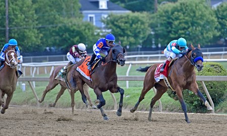 National Treasure - Horse Profile - BloodHorse