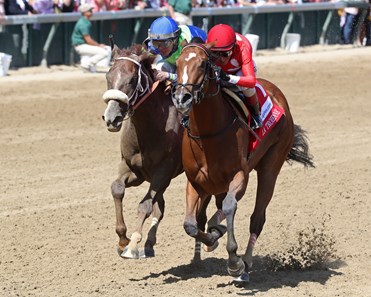 Played Hard - Horse Profile - BloodHorse