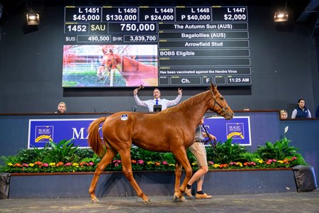 The Autumn Sun filly consigned as Lot 1452 in the ring at the Magic Millions National Yearling Sale