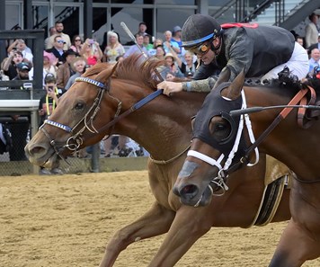 Rattle N Roll enters Jockey Club Gold Cup in peak form; McKulick faces  three in Flower Bowl - Brisnet