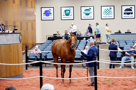 The Arrogate filly consigned as Hip 552 in the ring at the Fasig-Tipton Midlantic sale