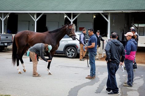 www.bloodhorse.com