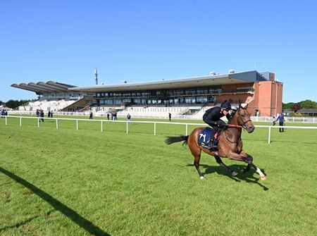 Tattersalls Ireland Goresbridge breeze-up 2023