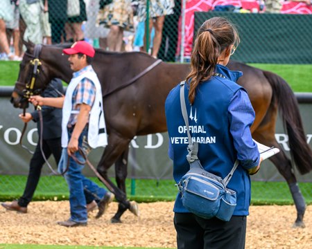 A veterinarian at Churchill Downs assesses horses in the paddock on Derby Day