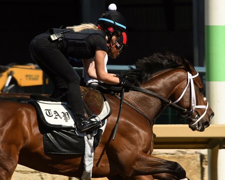 Nest working in May at Belmont Park