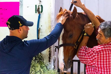 UM grad Ramiro Restrepo has Mage in the Kentucky Derby