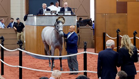 Speedway Stables Nabs Day 1 Sale Topper for 0,000