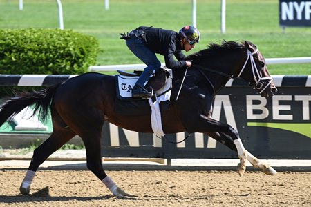 Forte breezes May 27 at Belmont Park