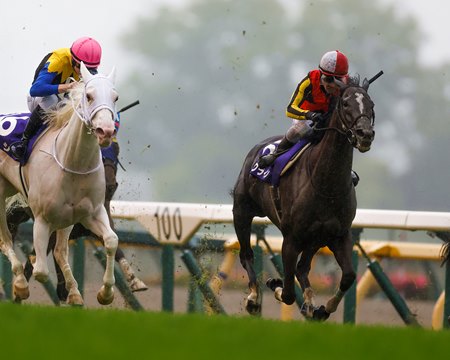 Songline wins the Victoria Mile at Tokyo Racecourse