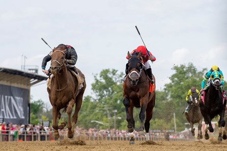 Rattle N Roll enters Jockey Club Gold Cup in peak form; McKulick faces  three in Flower Bowl - Brisnet