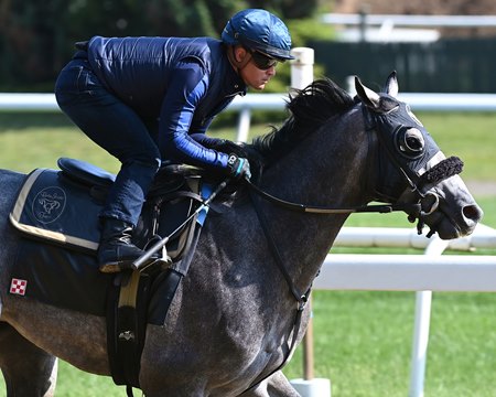 Arcangelo trains May 31 at Belmont Park