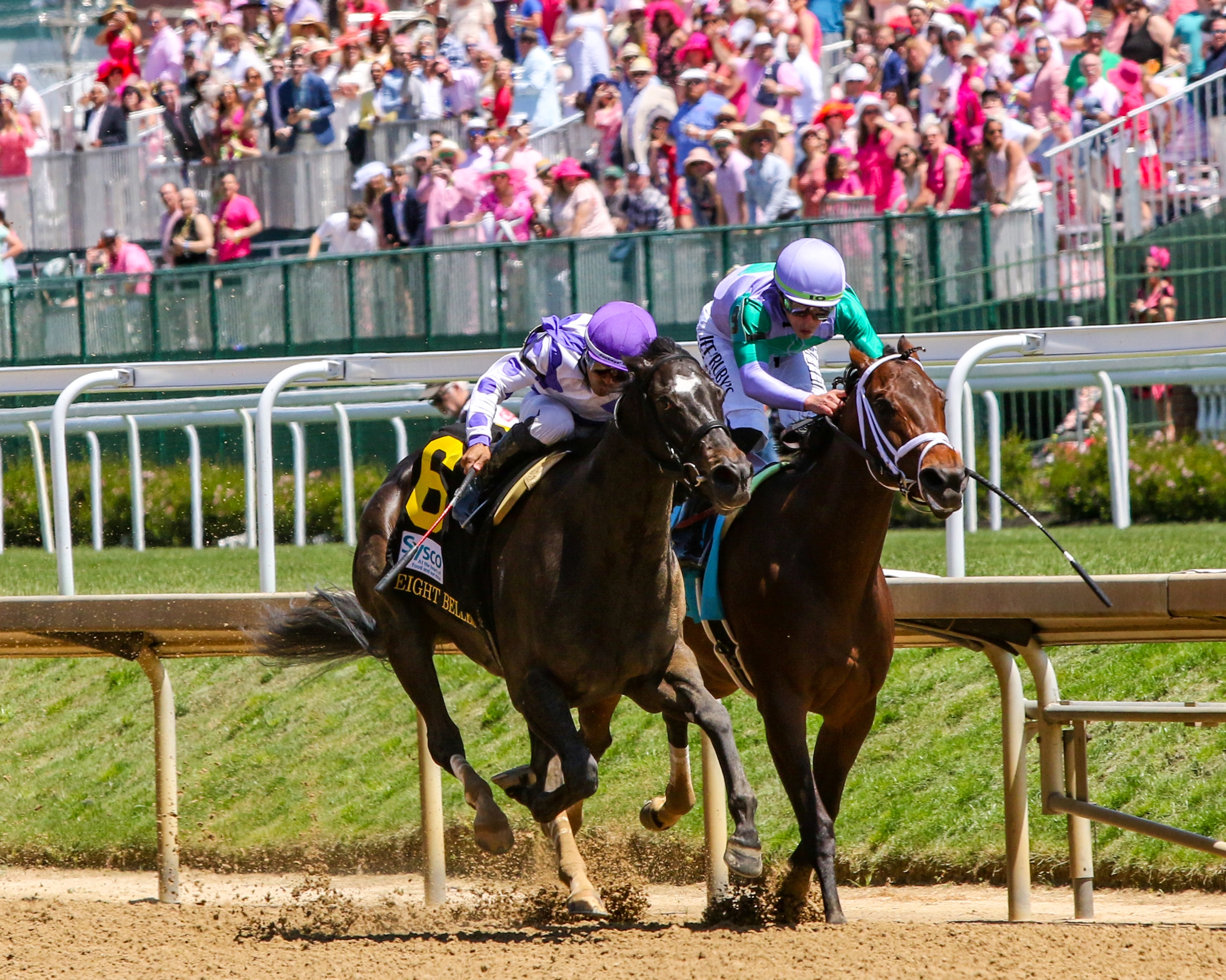 Red Carpet Ready Defeats Munnys Gold In Eight Belles - TrueNicks.com