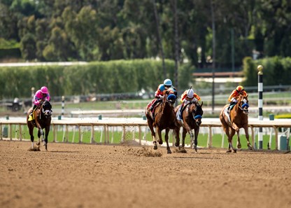 One In Vermillion - Horse Profile - Bloodhorse