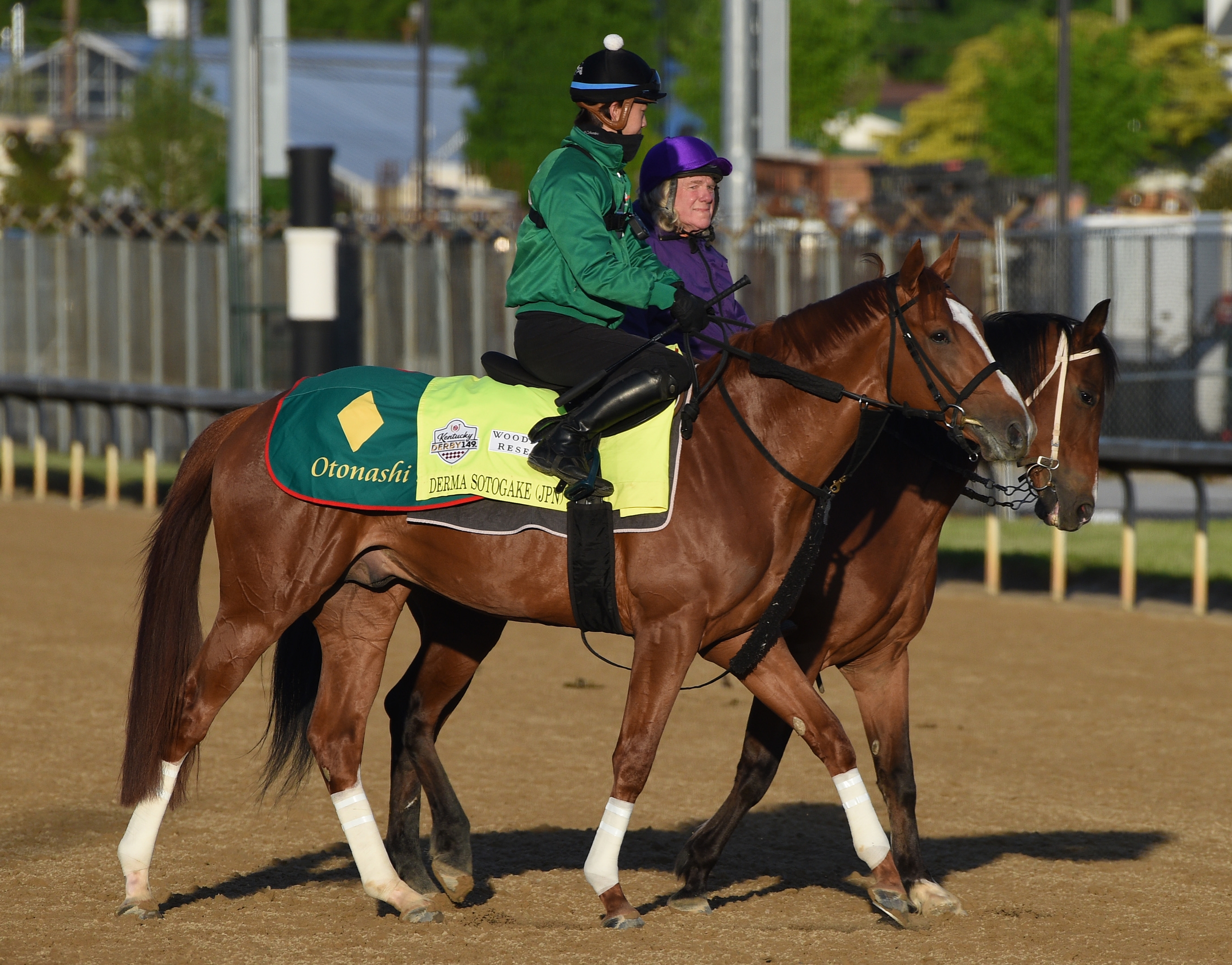 Japanese Horses Seek Breakthrough Triple Crown Victory - BloodHorse