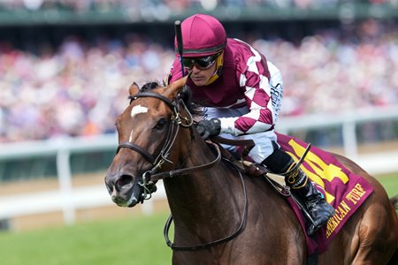 Webslinger wins the 2023 American Turf Stakes at Churchill Downs