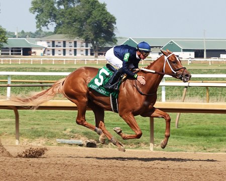 Society wins the 2023 Chicago Stakes in track record-setting time at Ellis Park