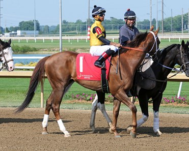 Run Away Rojo - Horse Profile - BloodHorse