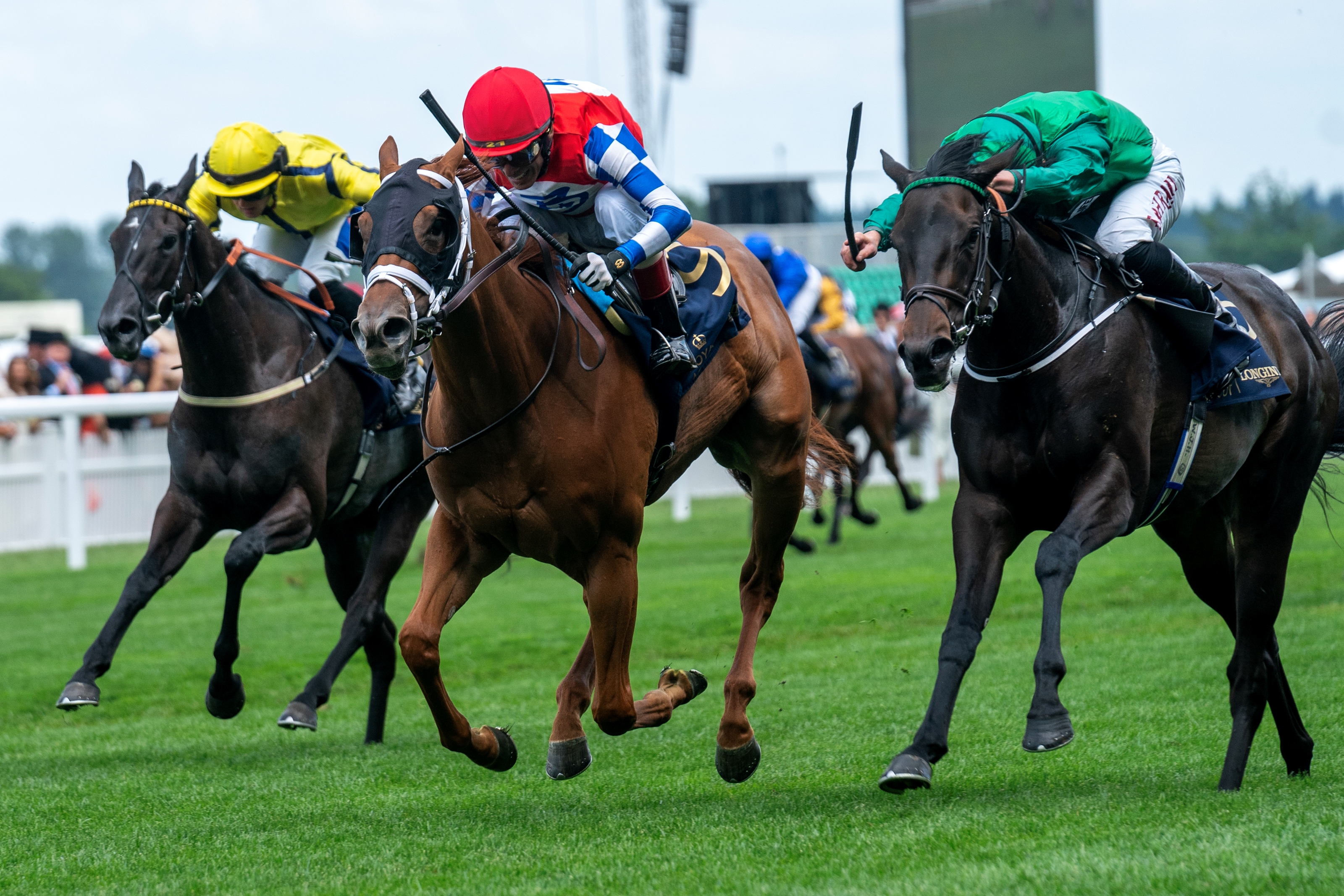 American Invader Crimson Advocate Wins Queen Mary - BloodHorse