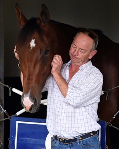 Pretty Mischievous with Roger Horgan