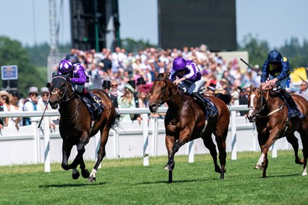 Shaquille (left) defeats Little Big Bear (middle) to win the Commonwealth Cup at Ascot Racecourse