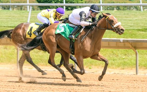 Catalina Cruiser Gets First Winner at Delaware Park