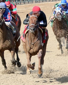 Rattle N Roll enters Jockey Club Gold Cup in peak form; McKulick faces  three in Flower Bowl - Brisnet