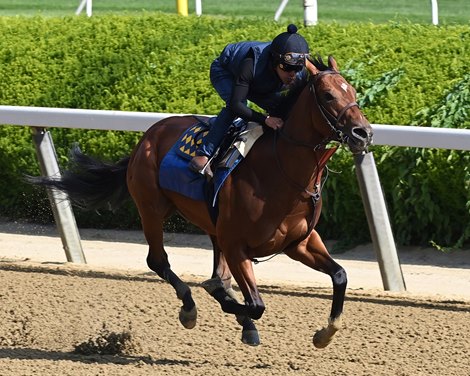 National Treasure, Forte Lead Nine-Horse Belmont - Vimarsana News