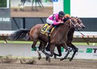 Kelly Breen Well Positioned To Repeat As Leading Trainer When Monmouth Park  Meet Gets Underway On Friday - Monmouth Park