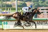 Pin Oak Stud’s Geaux Rocket Ride and jockey Ramon Vazquez cruise to an easy victory in the $100,000 Affirmed Stakes Sunday, June 4, 2023 at Santa Anita Park, Arcadia, CA.
Benoit Photo