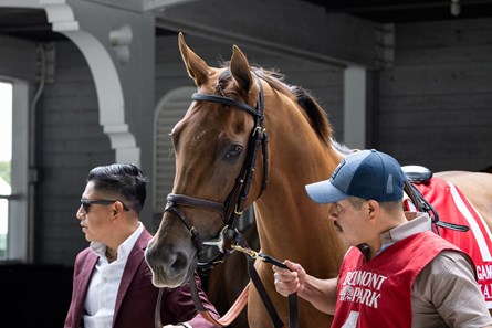 Lo Duca: My Card for The 2018 Breeders' Cup