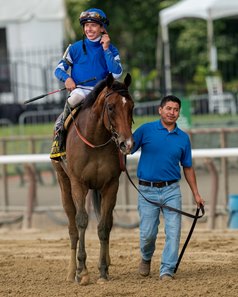 Pretty Mischievous and jockey Tyler Gaffalione after winning the Acorn Stakes at Belmont Park