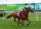 Redistricting, shown breaking his maiden at Belmont Park in 2023, is the 3-1 morning-line favorite in the Seabiscuit Handicap at Del Mar