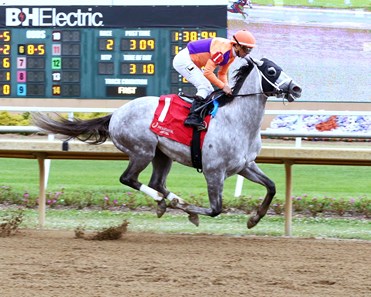 Aged Truth - Horse Profile - BloodHorse