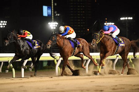 Meisho Hario (right) just gets up to win the Teio Sho over Crown Pride (left) and T O Keynes (middle) at Oi Racecourse