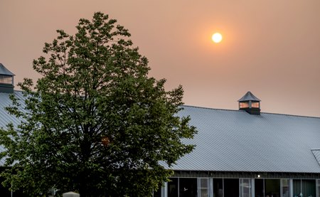 Smoke from wildfires in Canada caused poor air quality in Elmont, N.Y., and forced the cancellation of training and racing June 8 at Belmont Park