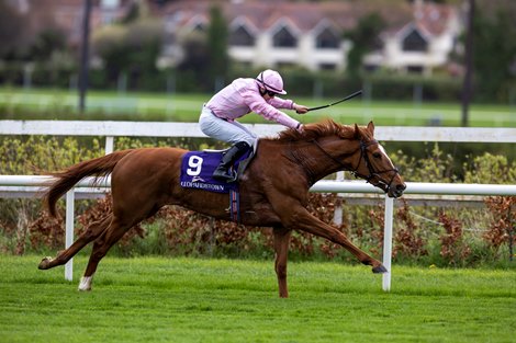 Savethelastdance Could Waltz Away Again in Betfred Oaks - Vimarsana News