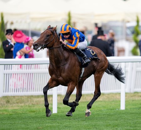 Paddington wins the St James's Palace Stakes at Ascot Racecourse