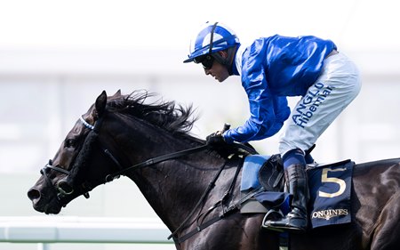 Picture of Prince of Wales's Stakes