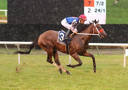 Train to Artemus wins the Goldwood Stakes at Monmouth Park