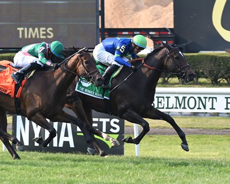 Prerequisite wins the Wonder Again Stakes at Belmont Park