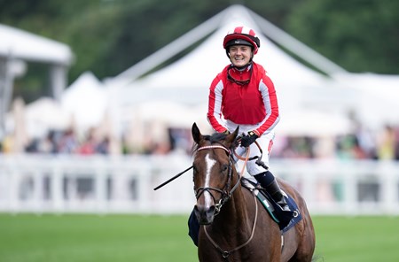 Bradsell (GB) - Horse Profile - BloodHorse